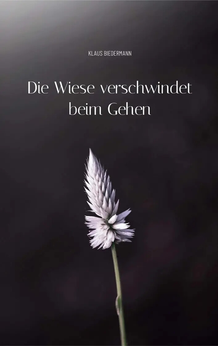 Buchcover: Die Wiese verschwindet beim Gehen von Klaus D. Biedermann